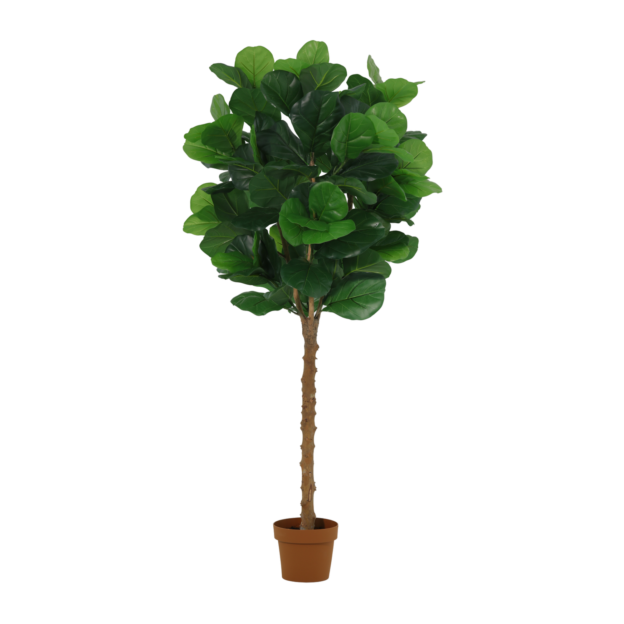 Kunstplant Ficus Lyrata 160cm - ø20