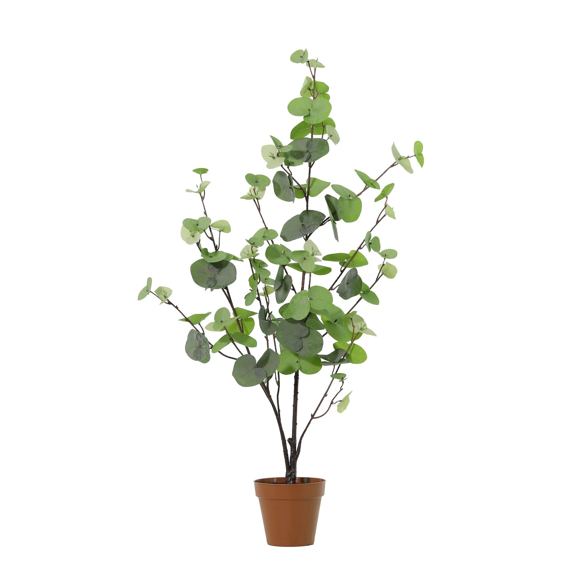 Kunstpflanze Eukalyptus grün 86cm - ø13