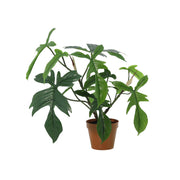 Kunstplant Philodendron Florida