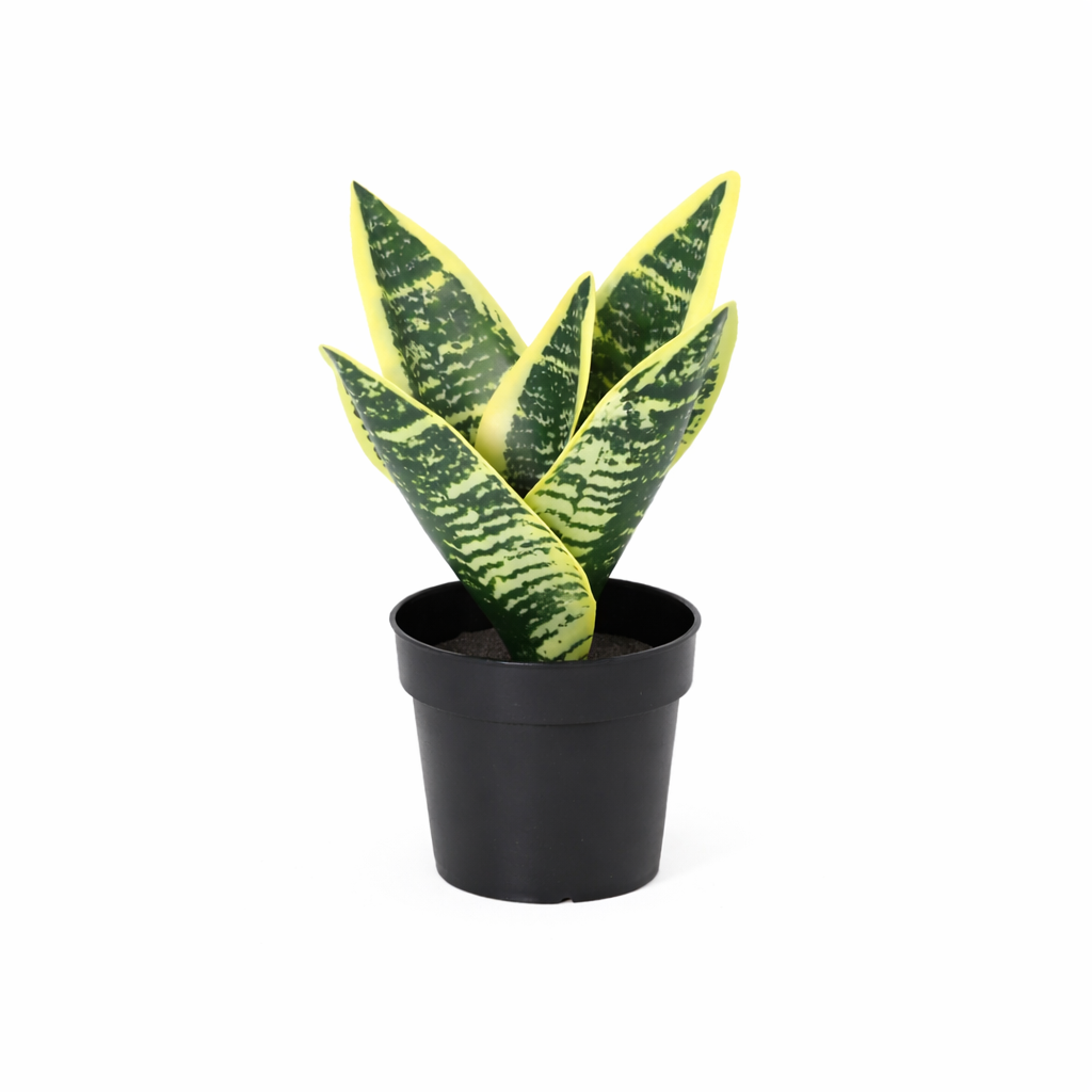 Kunstplant Sansevieria Laurentii 21cm - ø9