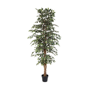 Kunstplant Ficus Benjamina Variegata
