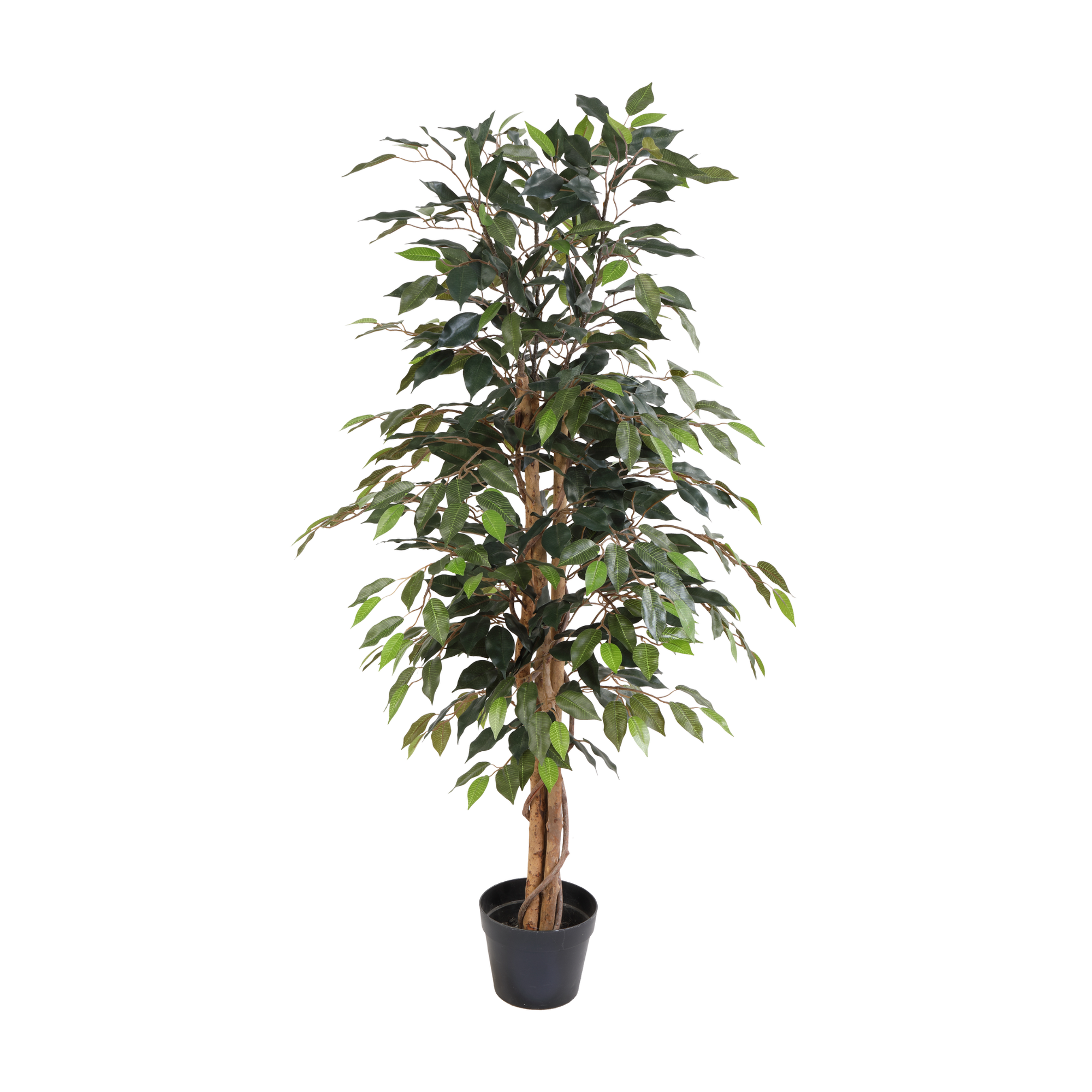 Kunstpflanze Ficus Benjamina 130cm - ø18