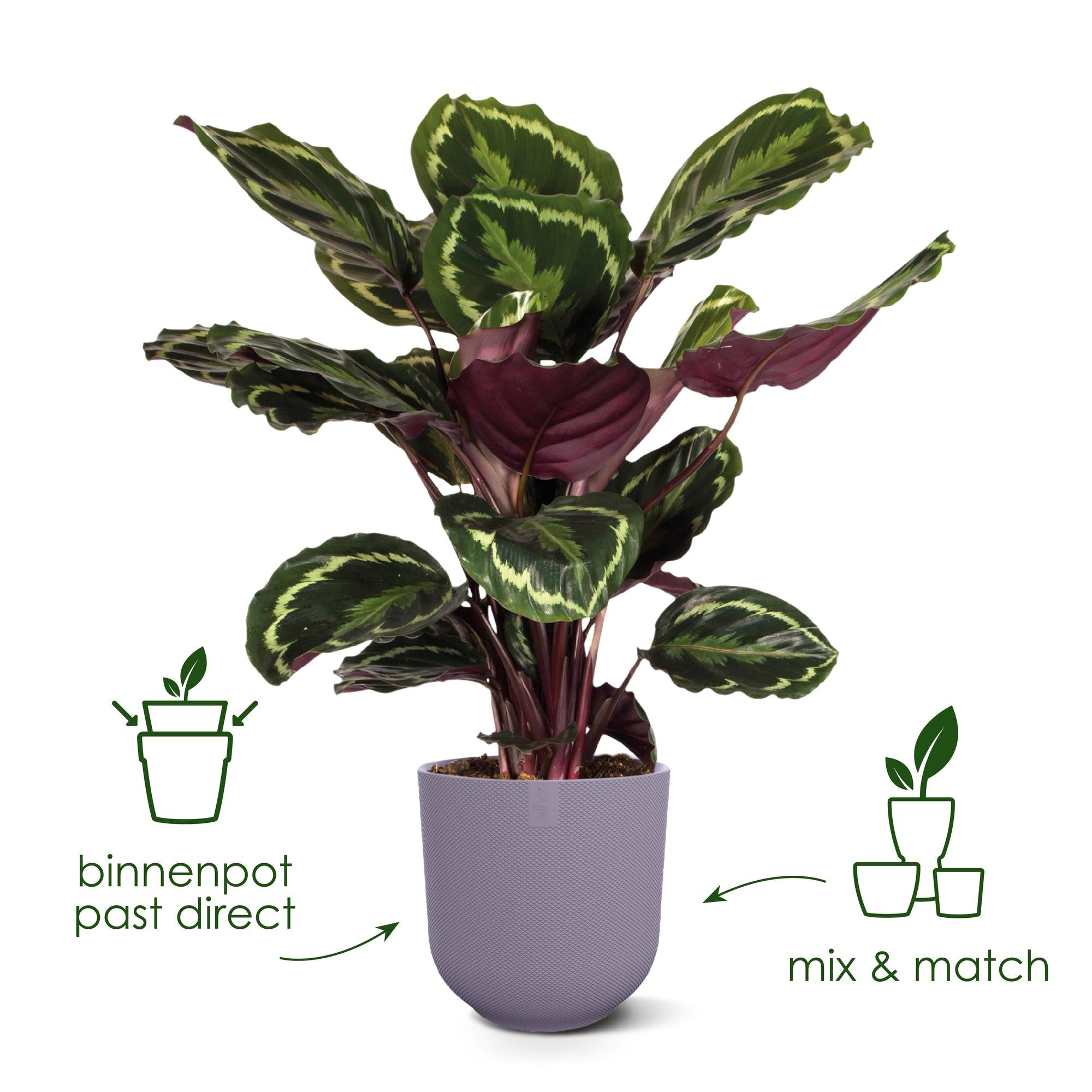 Sierpot Elho Jazz Round tuscan red Ø14 x H13 cm