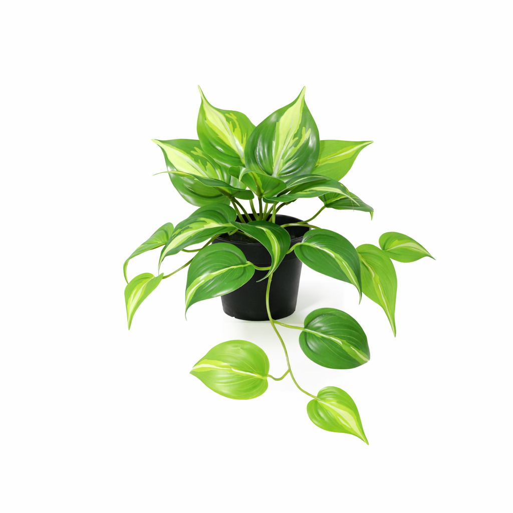 Kunstpflanze Epipremnum Variegata 23cm - ø9