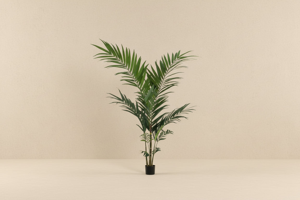 Artificial plant - Kentia - Kentia palm - 150cm