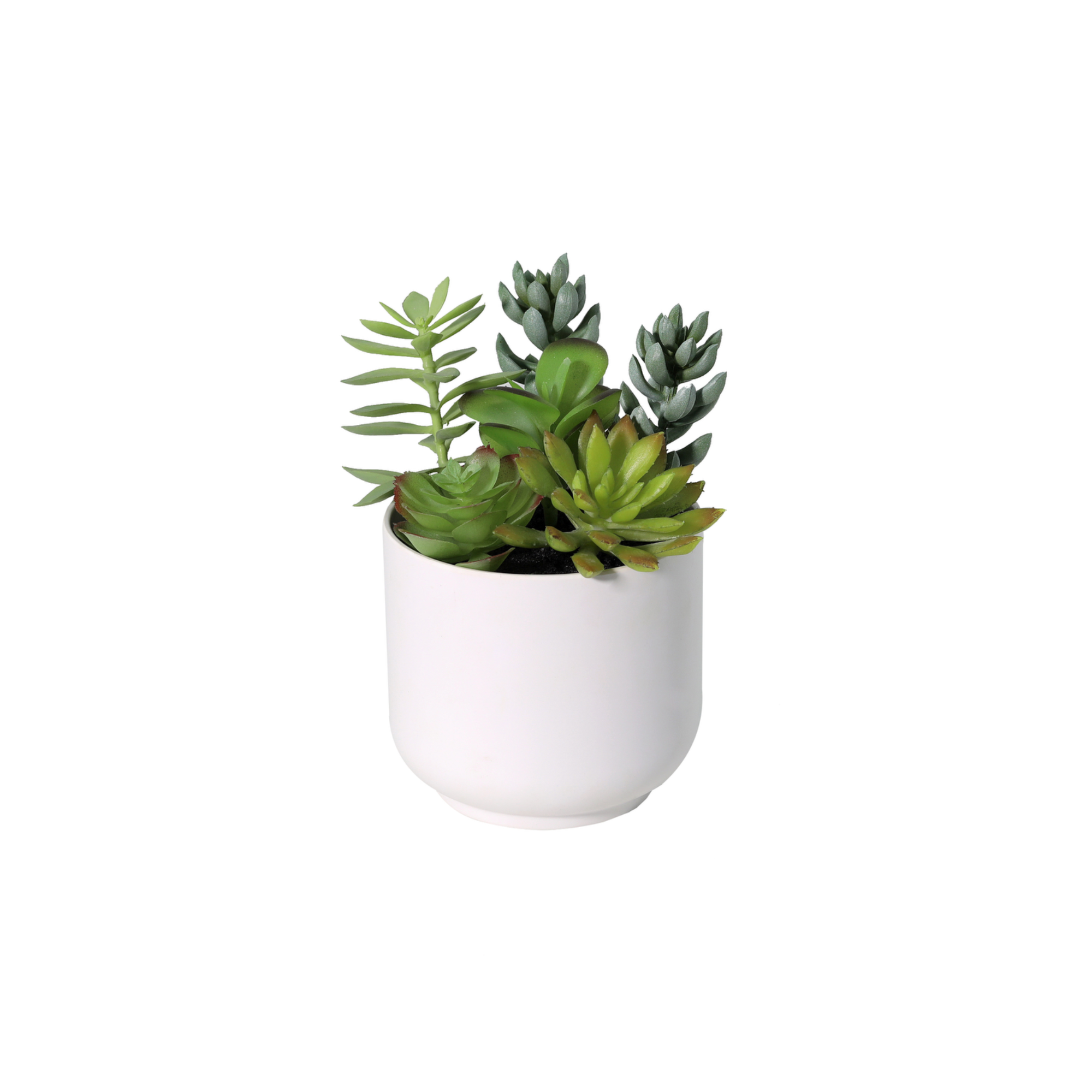 Kunstplant Vetplant inclusief witte pot 19cm - ø13