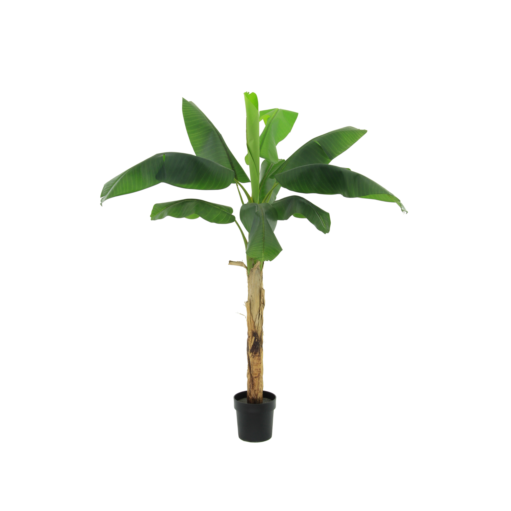 Kunstplant Bananenplant Musa 180cm - ø20