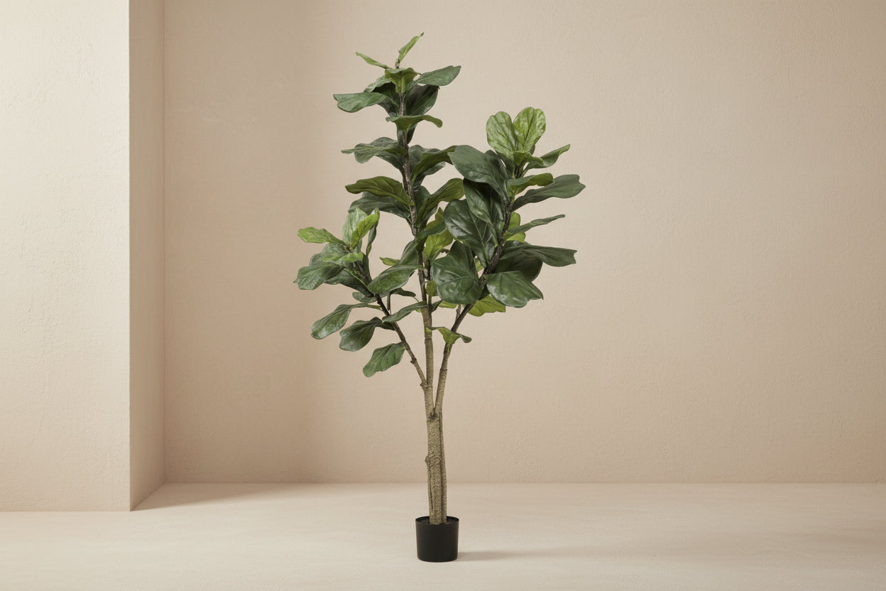 Artificial plant - Ficus Lyrata - 180cm