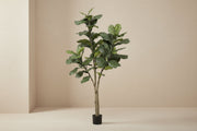 Kunstplant Ficus Lyrata 180cm met grote groene bladeren, geschikt voor huis en kantoor