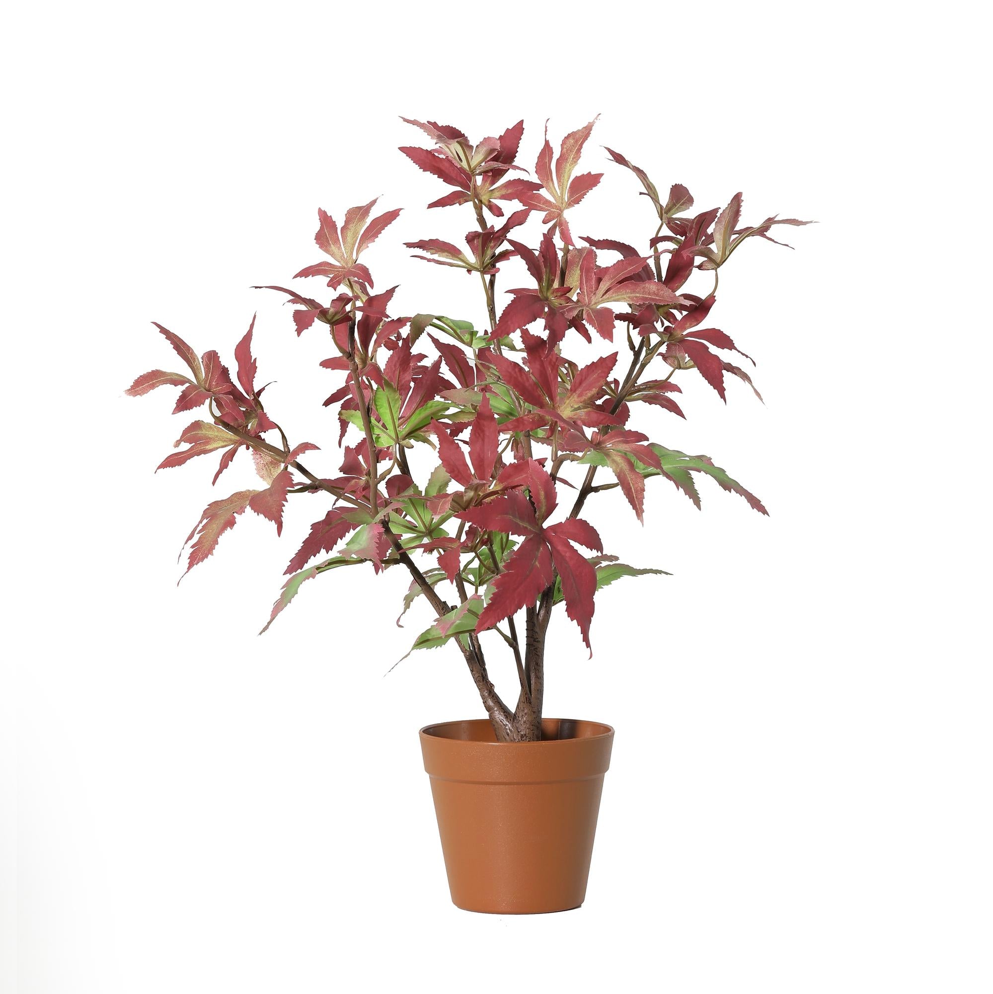 Kunstpflanze Ahorn 53 cm – ø 13