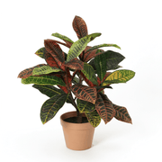 Kunstplant Croton Codiaeum