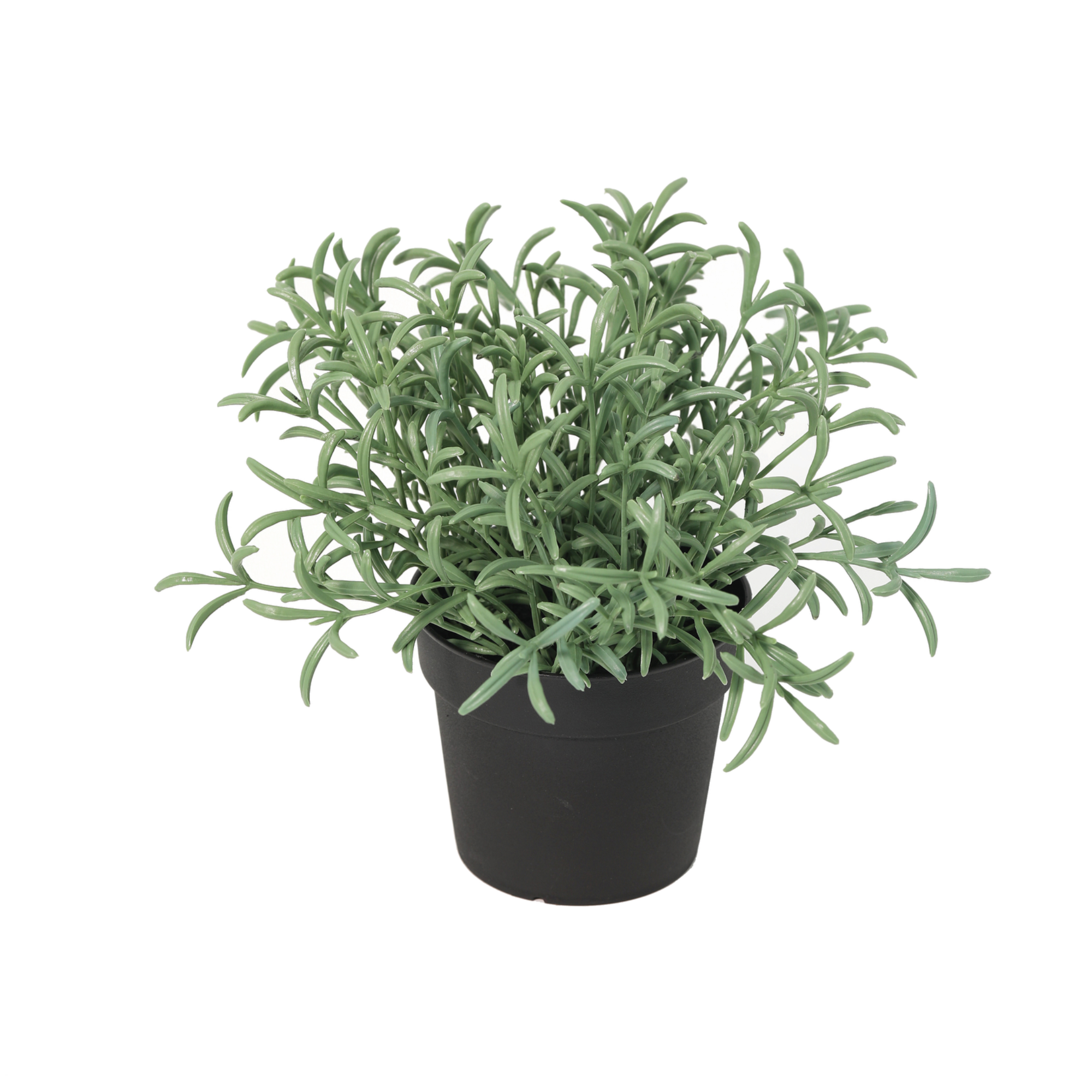 Kunstplant Helichrysum Italicum 18cm - ø9