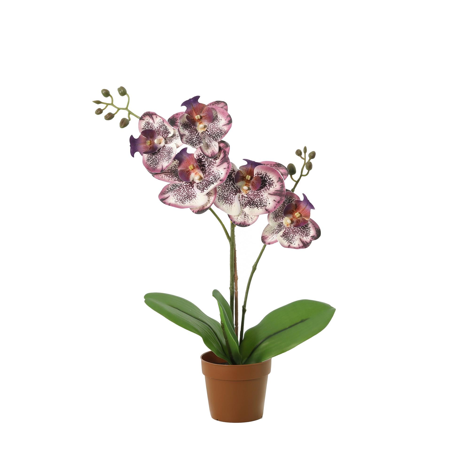 Kunstplant Phalaenopsis Orchidee paars 41cm - ø9
