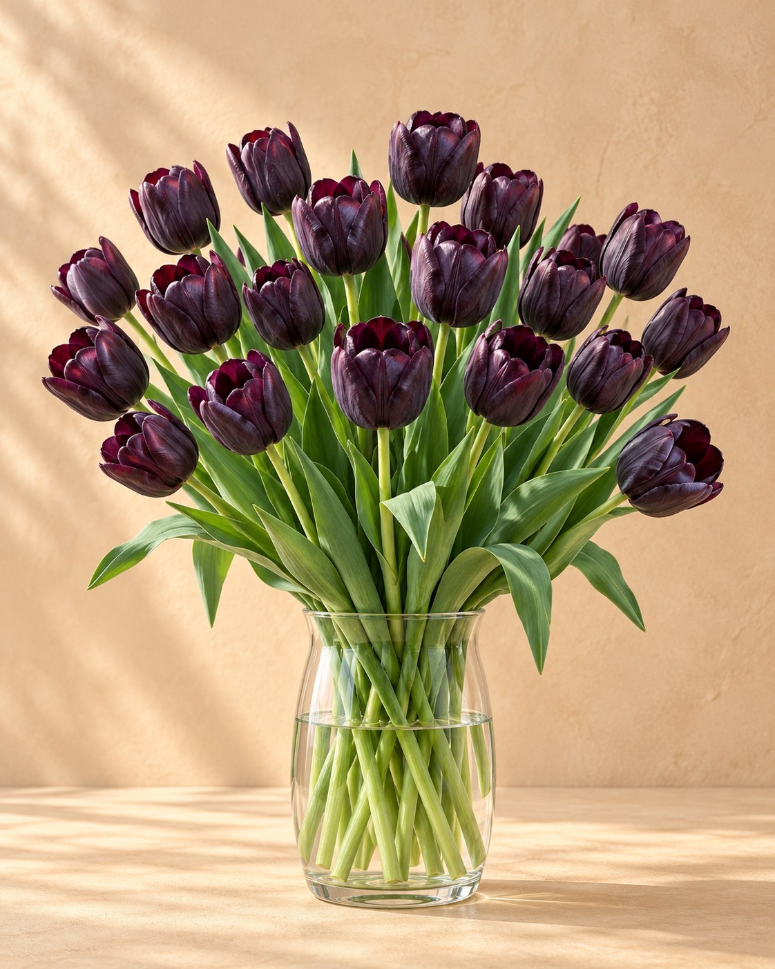 Cebulki tulipanów Black w rozkwicie w wazonie