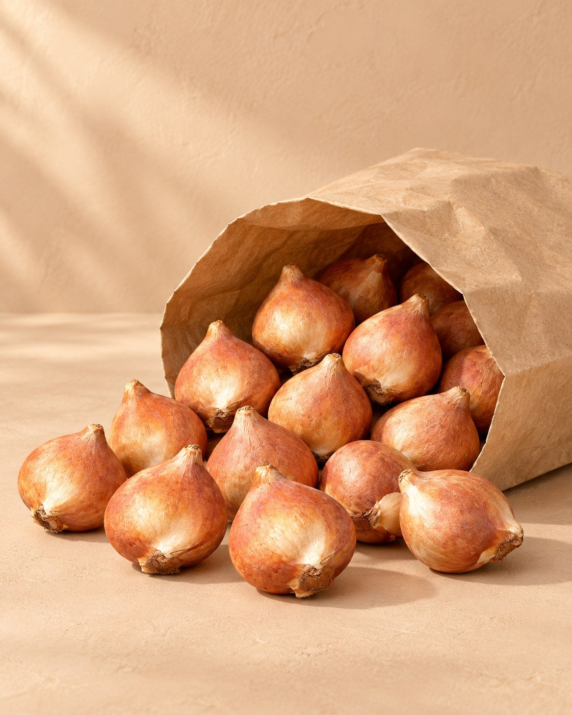 Bollen van tulpen double sensation