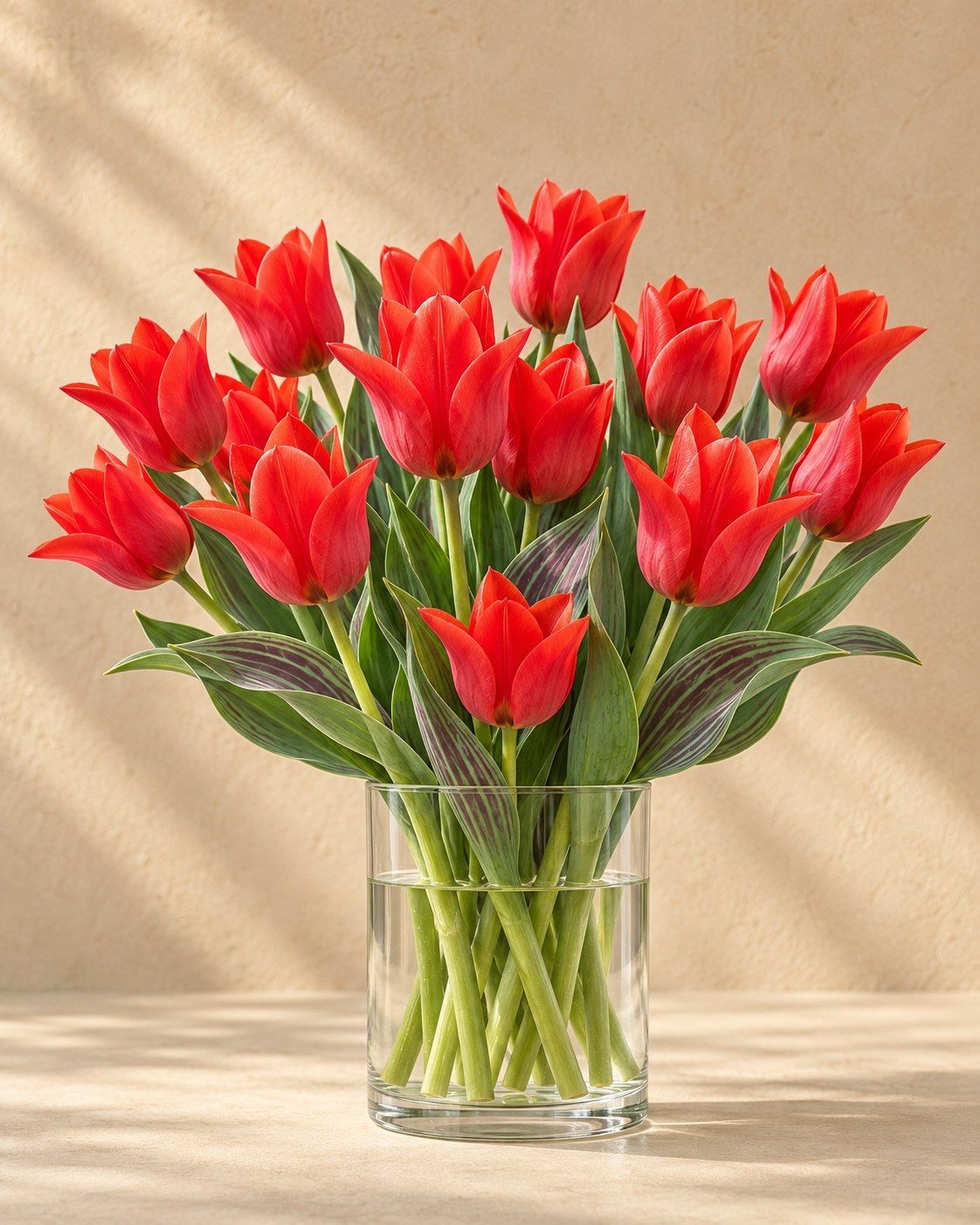 Tulpen Greigii Red in bloei in een vaas