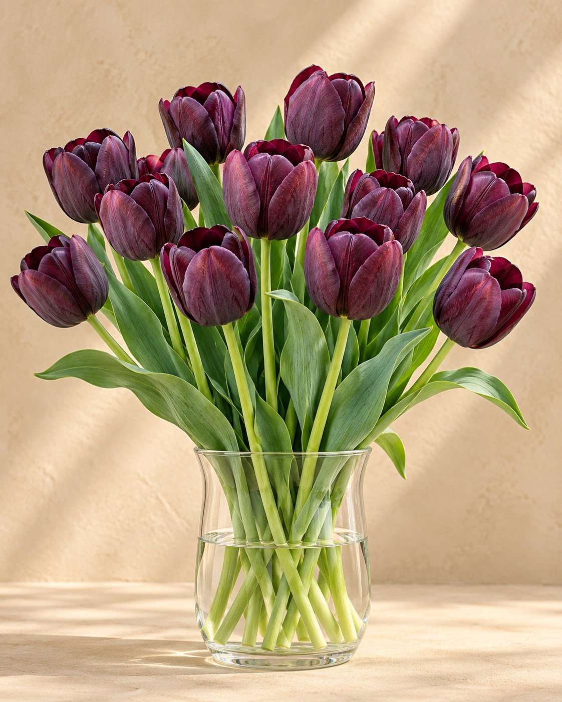 Cebulki tulipanów Triumph Black w rozkwicie w wazonie