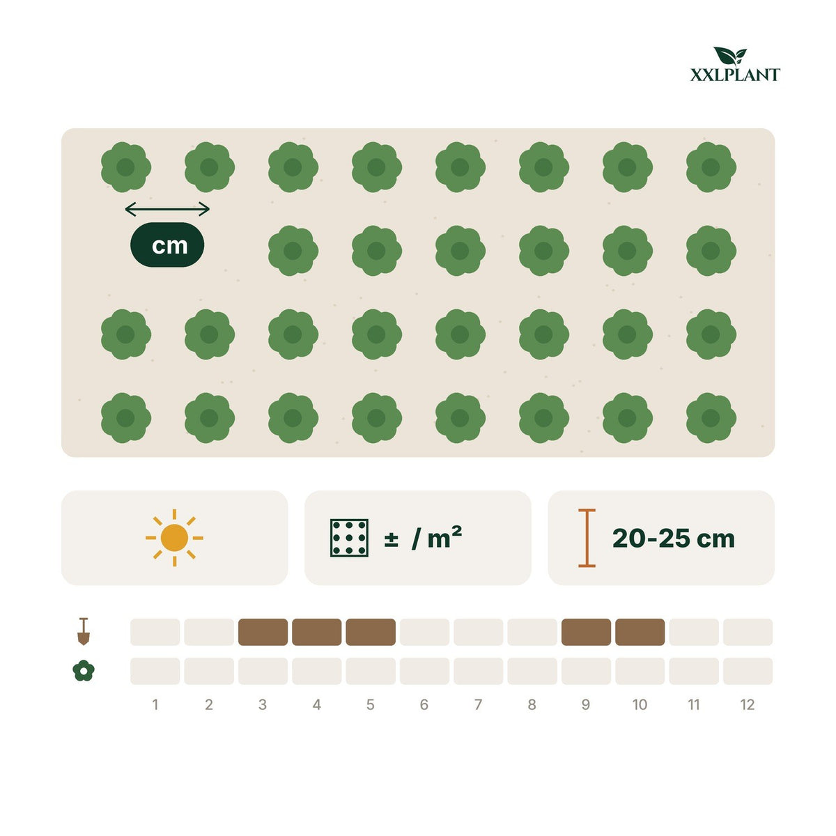 Planting card Organic fig tree