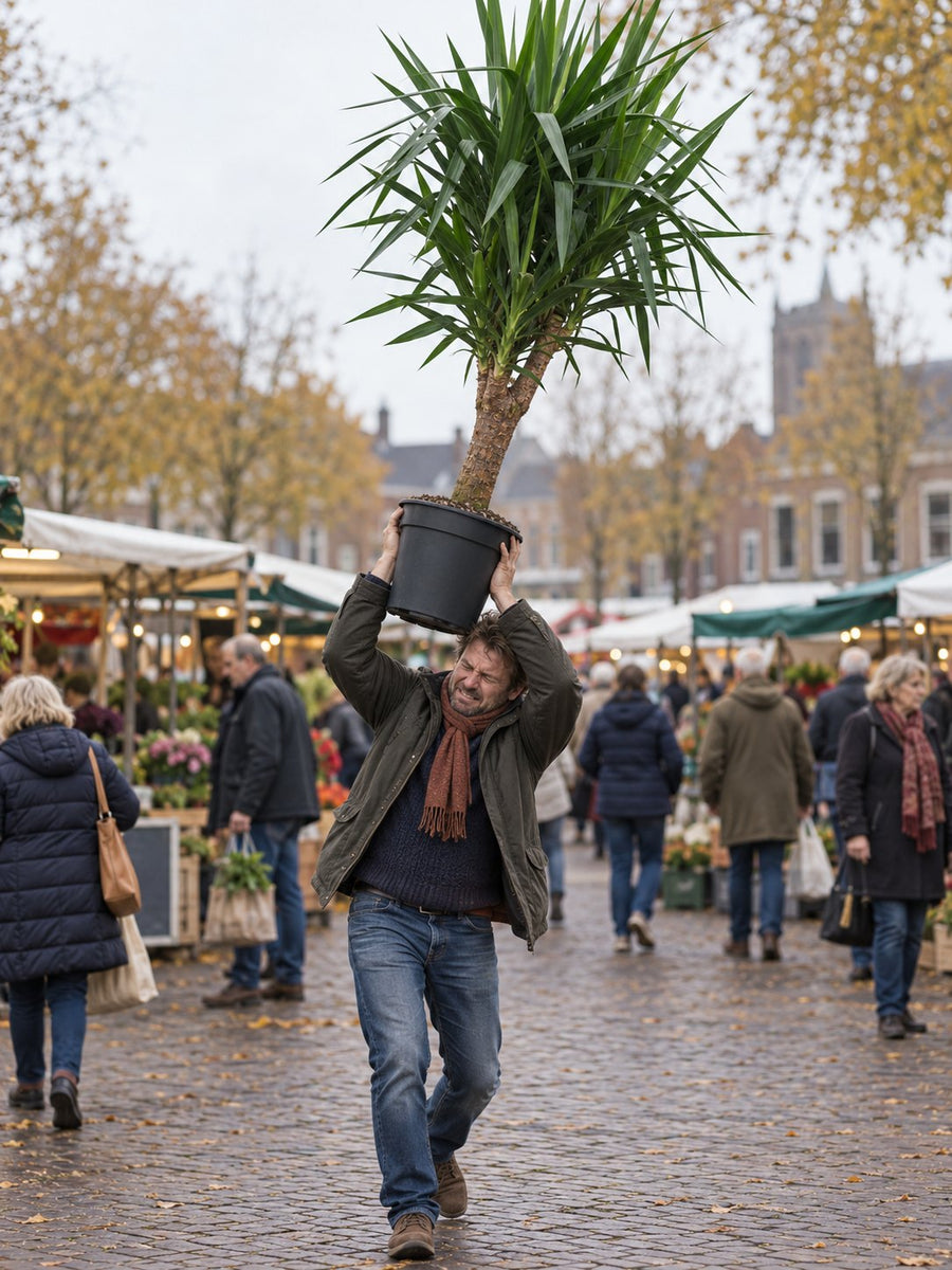 Een man draagt een Yucca boven zijn hoofd over de markt